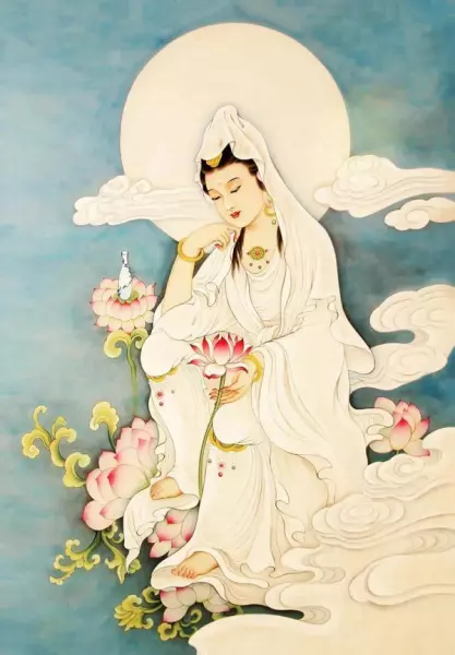 命运这本书中的好词好句摘抄大全(5)