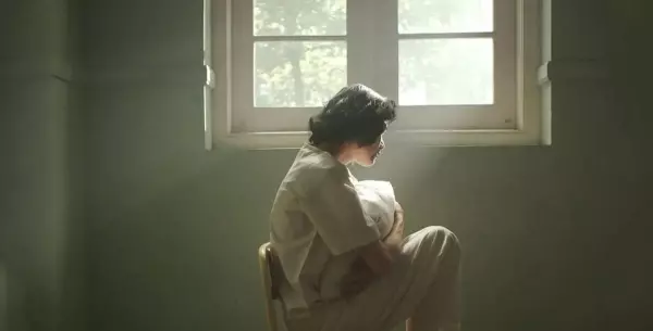 三只鸟的命运真实故事原型是什么动物(11)
