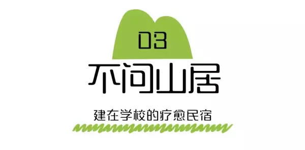 福莲茶的价格是多少(12)