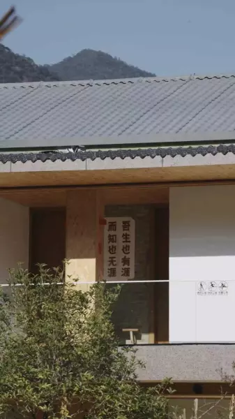 福莲茶的价格是多少(15)