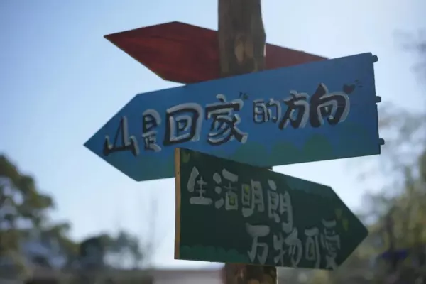 福莲茶的价格是多少(16)