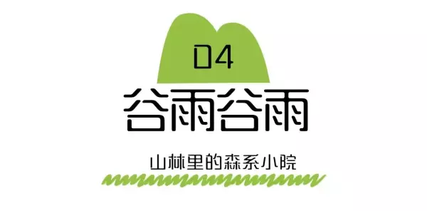 福莲茶的价格是多少(17)