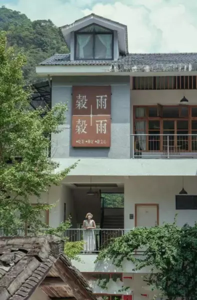 福莲茶的价格是多少(18)
