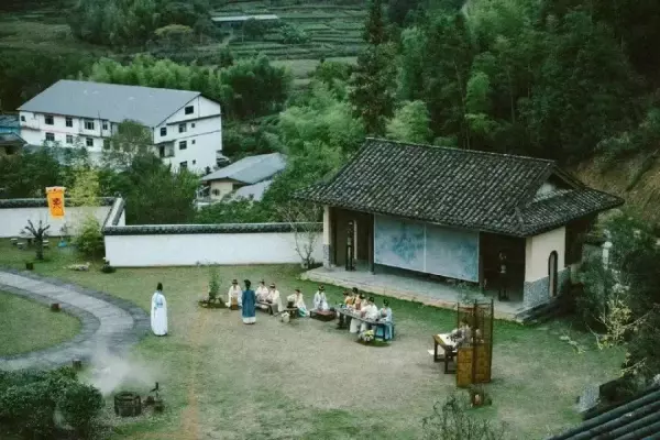 福莲茶的价格是多少(9)