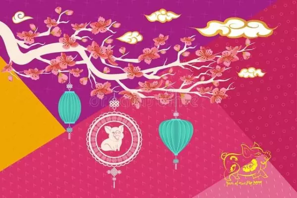 71年7月25日出生属猪的人命怎么样(6)