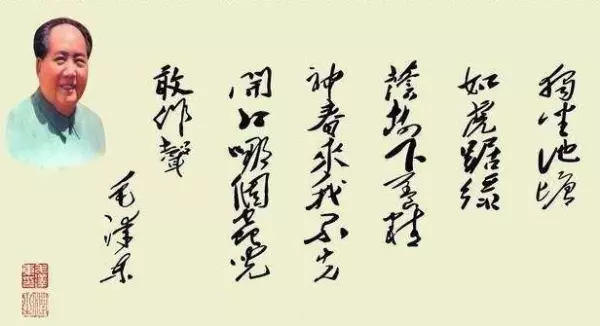 陈胜同情和自己命运相同的人句子有哪些(6)