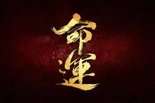 个人命运既看个人努力也看时代什么意思(3)