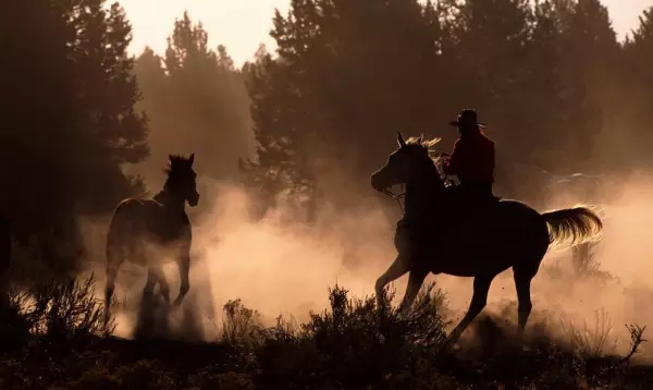 梦到被一条白色的蛇追着跑周公解梦是啥意思(3)