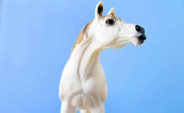 梦到被一条白色的蛇追着跑周公解梦是啥意思(6)