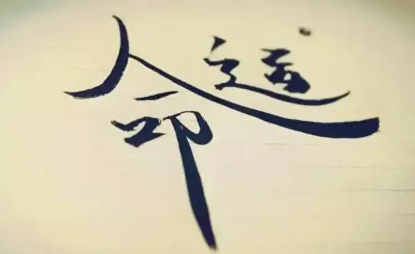 命运不能完全掌握在手里什么意思呀(1)