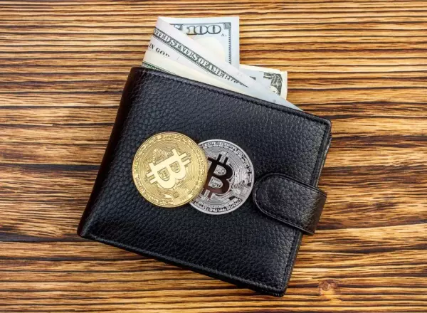 一个钱包改变了一个孩子的命运英语怎么说(1)