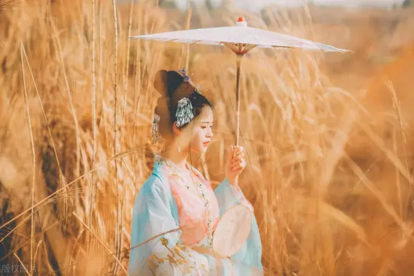 如火如荼的荼和茶叶的茶有什么区别(1)