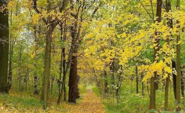 秋分是几月几日2023年农历(1)