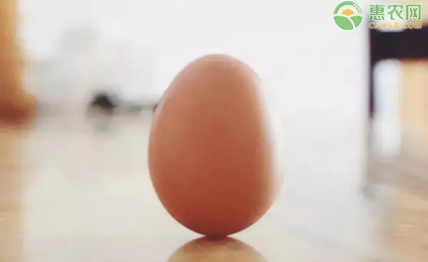 秋分是几月几日2023年农历(2)