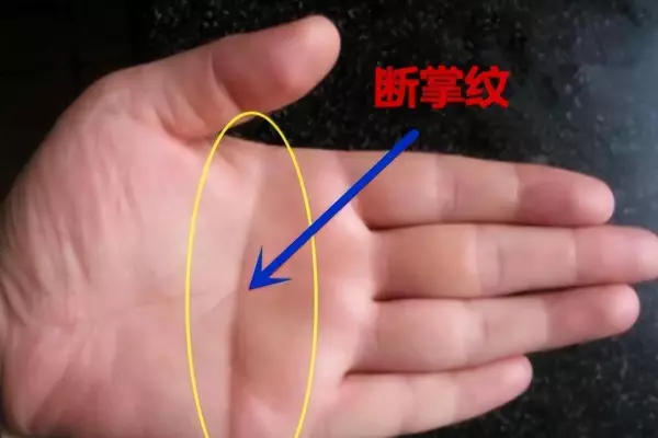 手上掌纹一条横线说明什么命运女人(2)