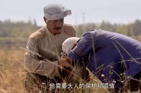 平凡的世界三大悲惨命运概括50字(2)
