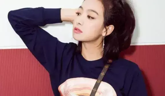 鹅蛋脸的所有中国女明星(5)