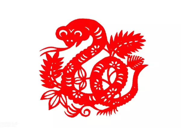 2001年11月11日农历出生是什么命(5)