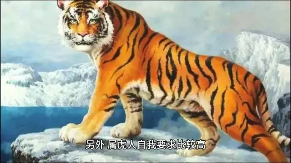 74年9月29日属虎的命运怎么样呢(4)