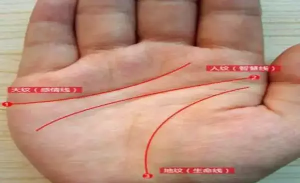 女生左右手掌上有四条线是什么命运图解(2)