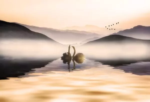 能通过一个人算到一家人的命运吗(3)