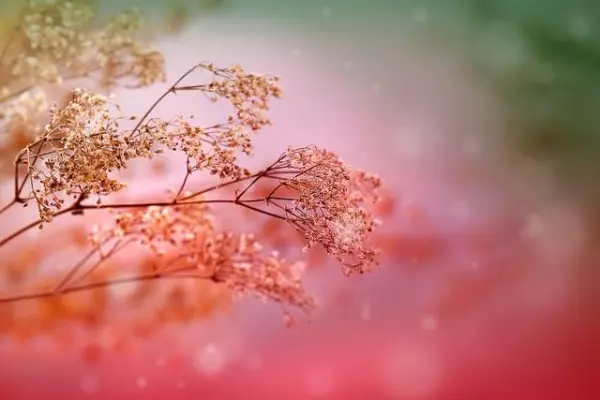 能通过一个人算到一家人的命运吗(5)