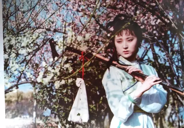 葬花吟中黛玉和花的命运的句子是什么意思(1)