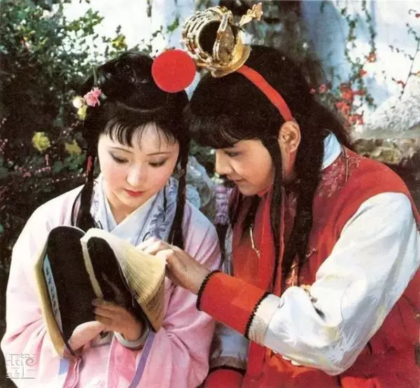 葬花吟中黛玉和花的命运的句子是什么意思(5)