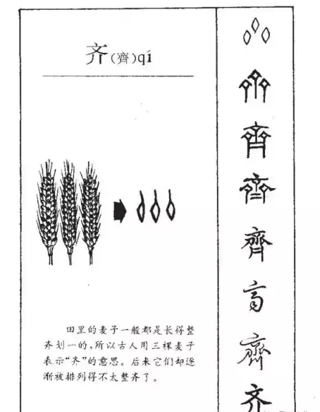 齐的部首是什么偏旁结构组词(10)
