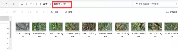 同一目录下可以存放两个内容不同但文件名相同的文件(2)