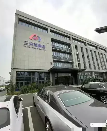 大杨哥和小杨哥是双胞胎吗(5)