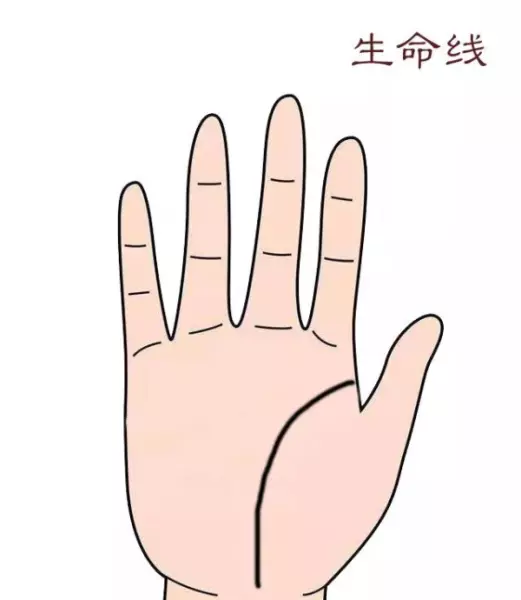 男女左手掌纹一模一样代表什么命运呢(1)