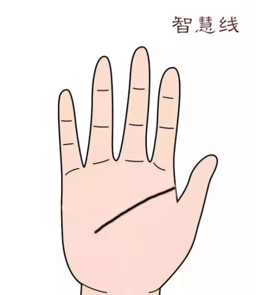 男女左手掌纹一模一样代表什么命运呢(2)