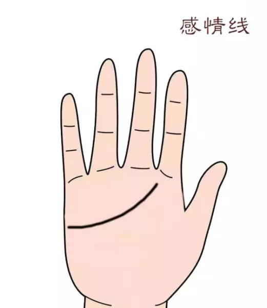 男女左手掌纹一模一样代表什么命运呢(3)