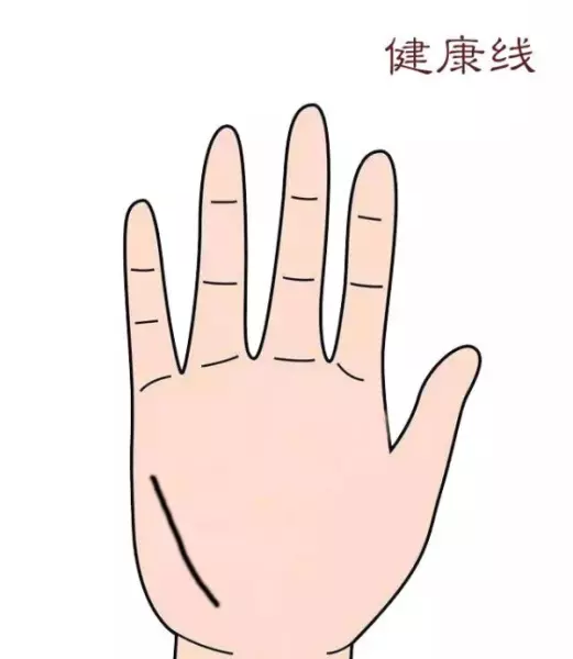 男女左手掌纹一模一样代表什么命运呢(6)