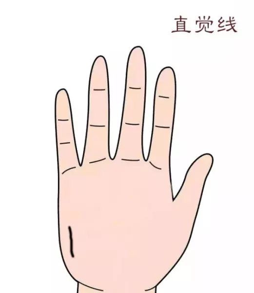 男女左手掌纹一模一样代表什么命运呢(7)