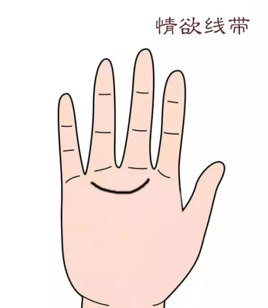 男女左手掌纹一模一样代表什么命运呢(8)