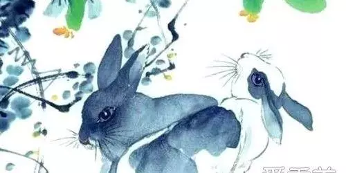 2011生肖兔女生农历十月命运如何呢(3)