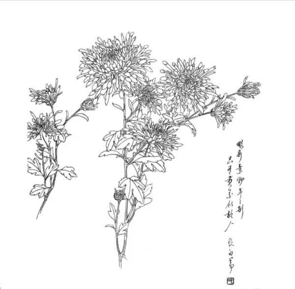 一什么知什么的四字词语有哪些(1)