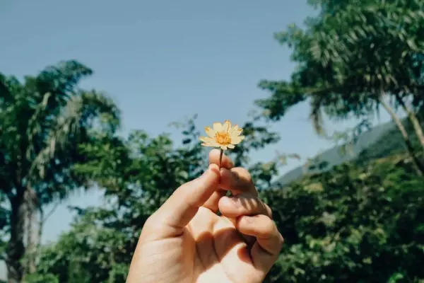算命的说女人犯桃花是什么意思啊怎么解释(2)