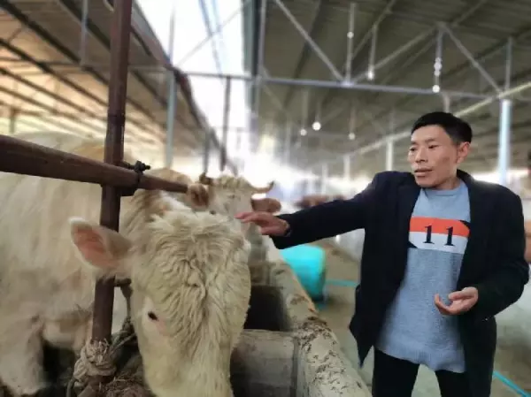 命运支配不了有自强精神的人事例(2)