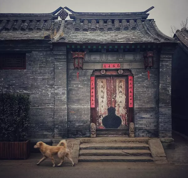 对祥子悲惨命运的感受1000字怎么写(3)