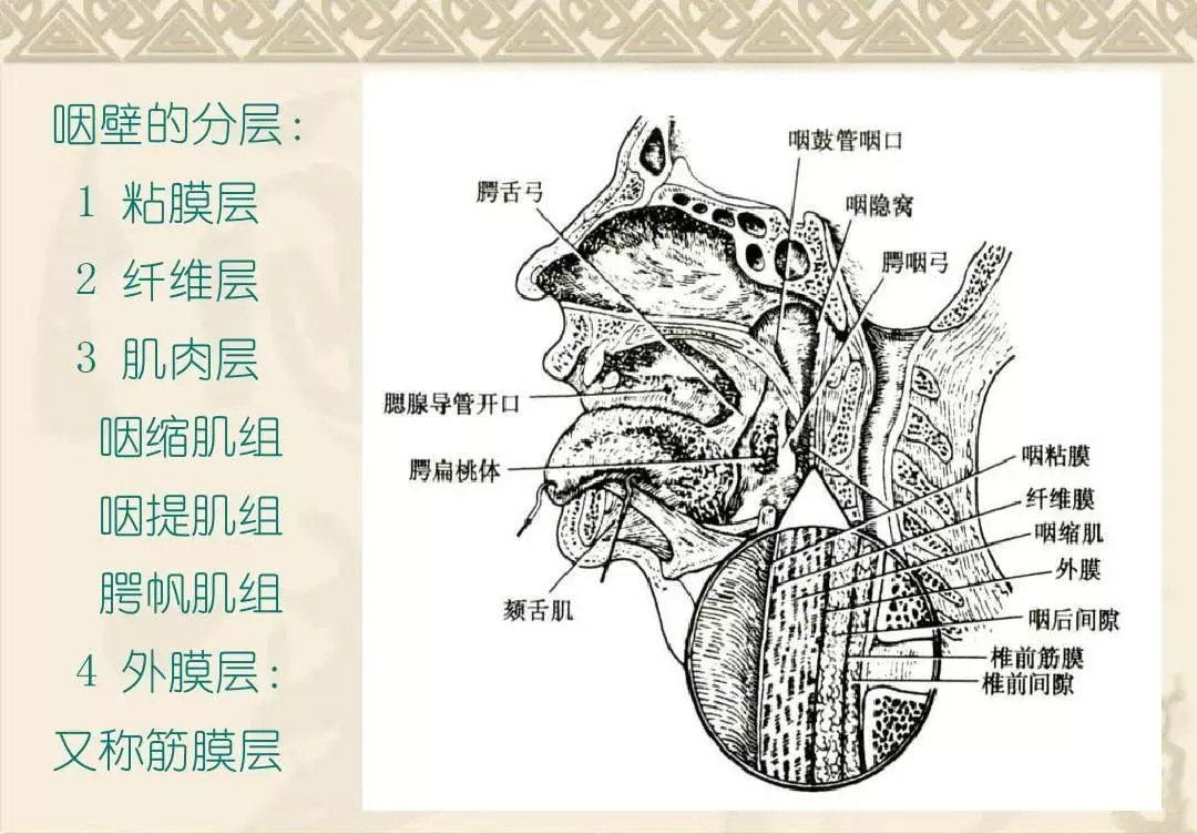 秦陇锁钥,巴蜀咽喉什么意思(2)