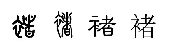 褚怎么读姓氏怎么读拼音怎么写(1)
