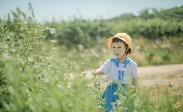 书妍这个名字的寓意是什么(1)