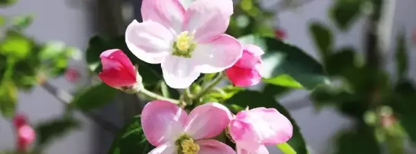 解释人遇福祸的易经篇章是什么名字呢(3)