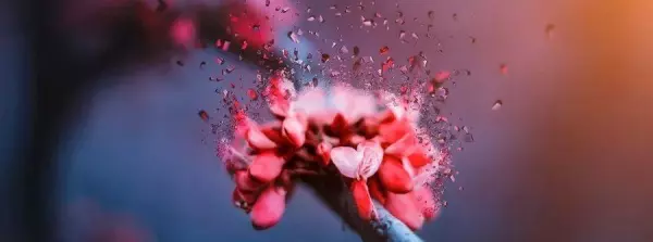 解释人遇福祸的易经篇章是什么名字呢(4)