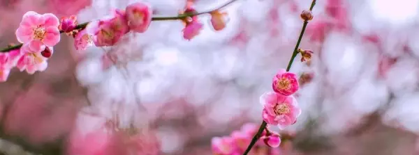 解释人遇福祸的易经篇章是什么名字呢(8)