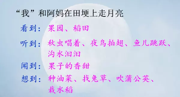 啊我和阿妈走月亮在课文中反复出现的作用(2)