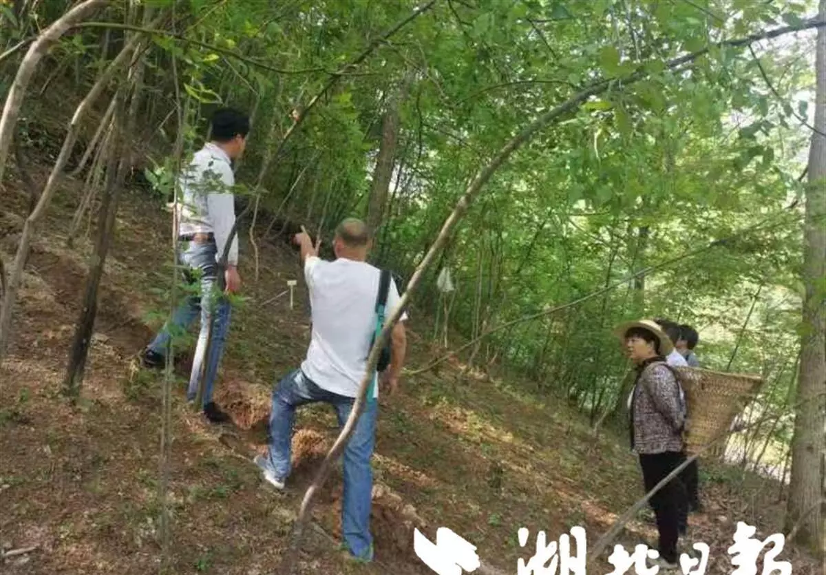 彭儒宝简介(2)